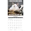 image Cat Astrophe 2025 Wall Calendar