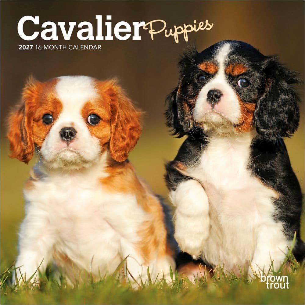 image Cavalier King Charles Puppies 2027 Mini Wall Calendar Main Product Image