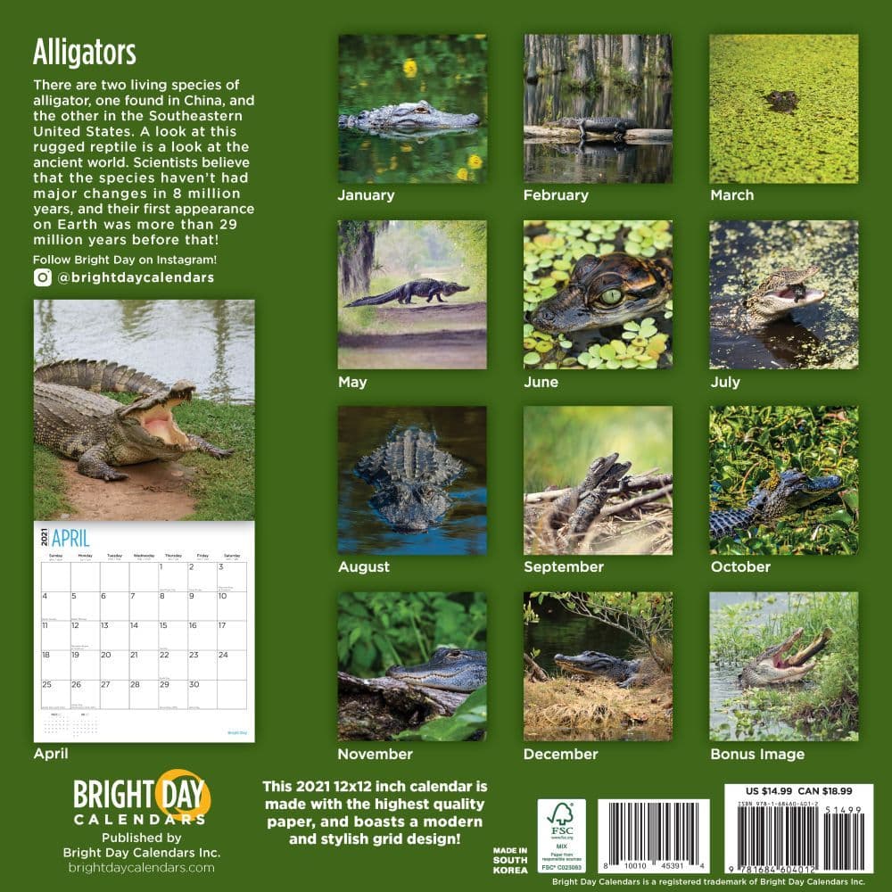 Download Alligators Wall Calendar - Calendars.com