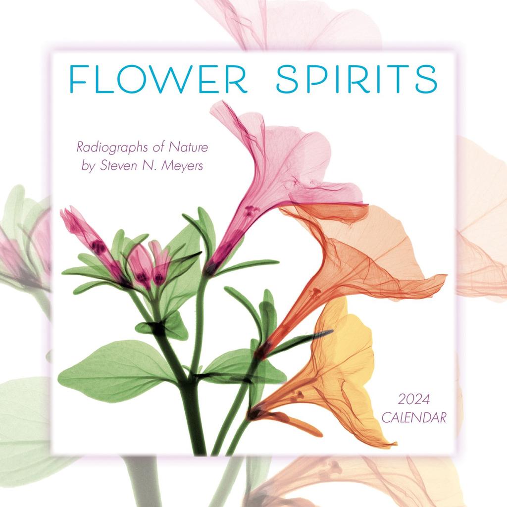 Flower Spirits 2024 Mini Wall Calendar Main Image