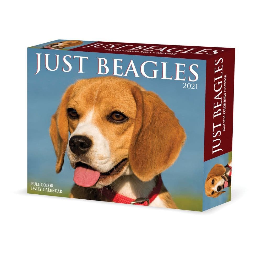 Just Beagles Desk Calendar