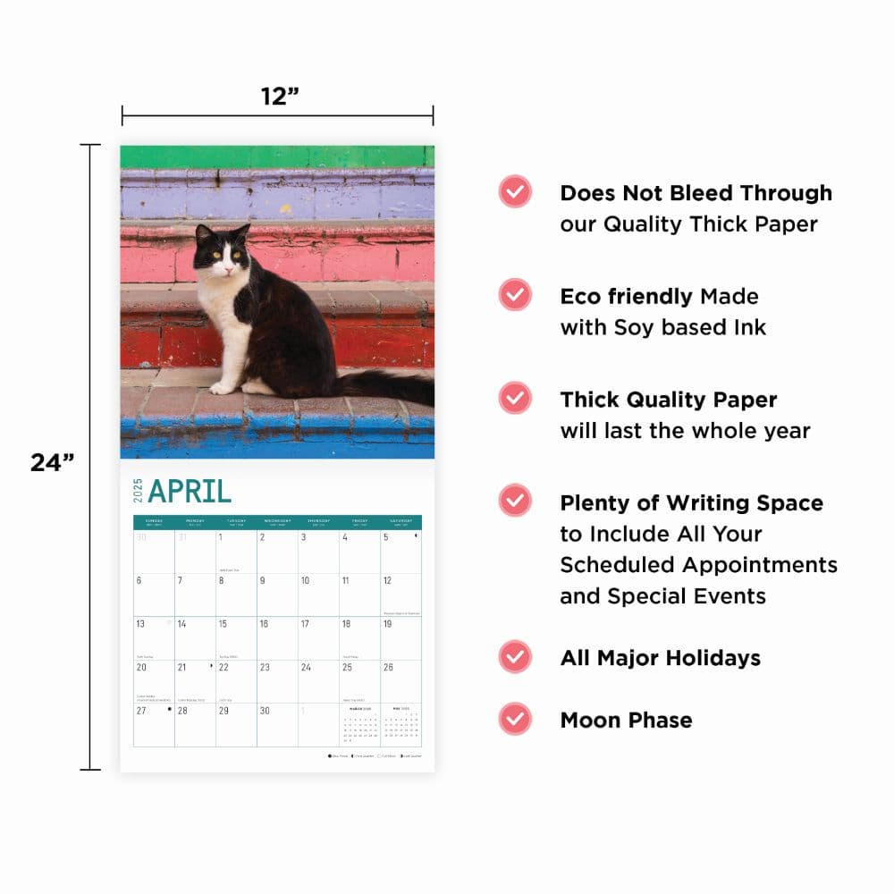 Tuxedo Cats 2025 Wall Calendar