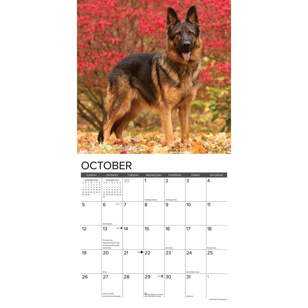German Shepherd Desk Calendar 2025 Printable Tedi Agnella