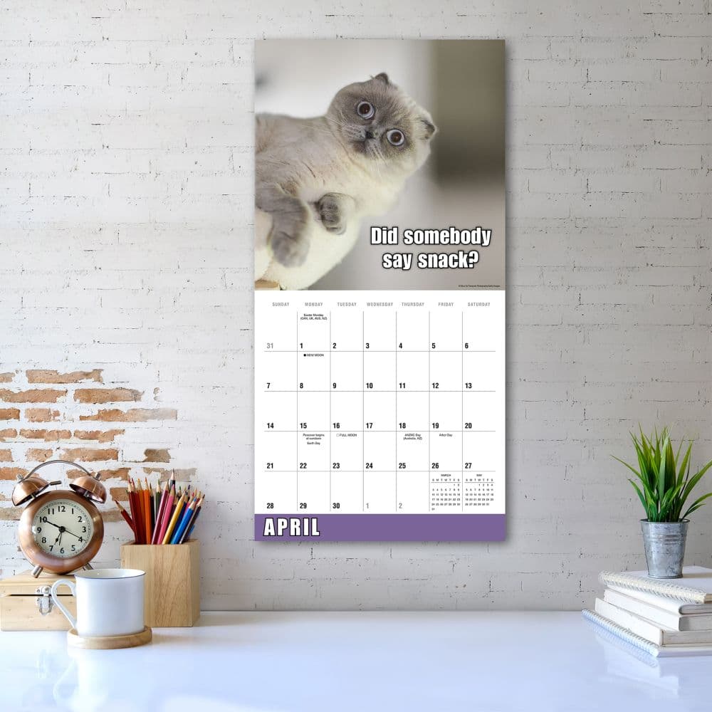 Meow Memes 2024 Wall Calendar Alternate Image 5