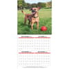 image All Mixed Up 2025 Wall Calendar Alt3