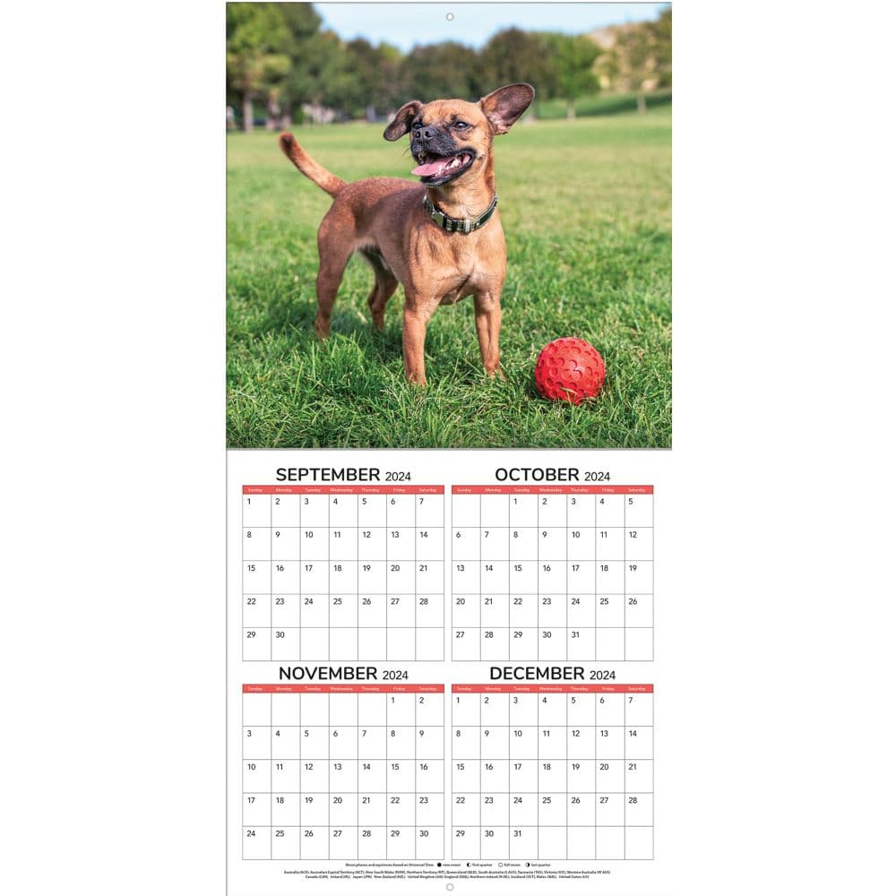 All Mixed Up 2025 Wall Calendar Alt3