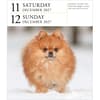 image Dog Page-A-Day Gallery 2027 Desk Calendar Fourth Alternate Image