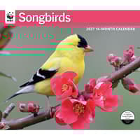 image WWF Songbirds 2027 Wall Calendar Main Image