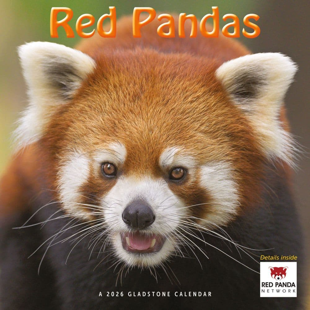 Red Pandas 2026 Wall Calendar Main Image