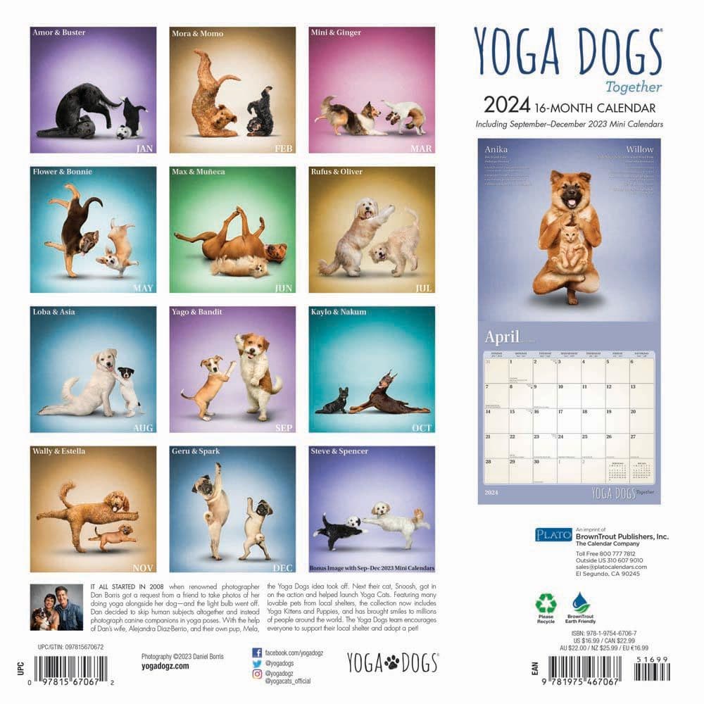 Yoga Dogs Together 2024 Wall Calendar - Calendars.com