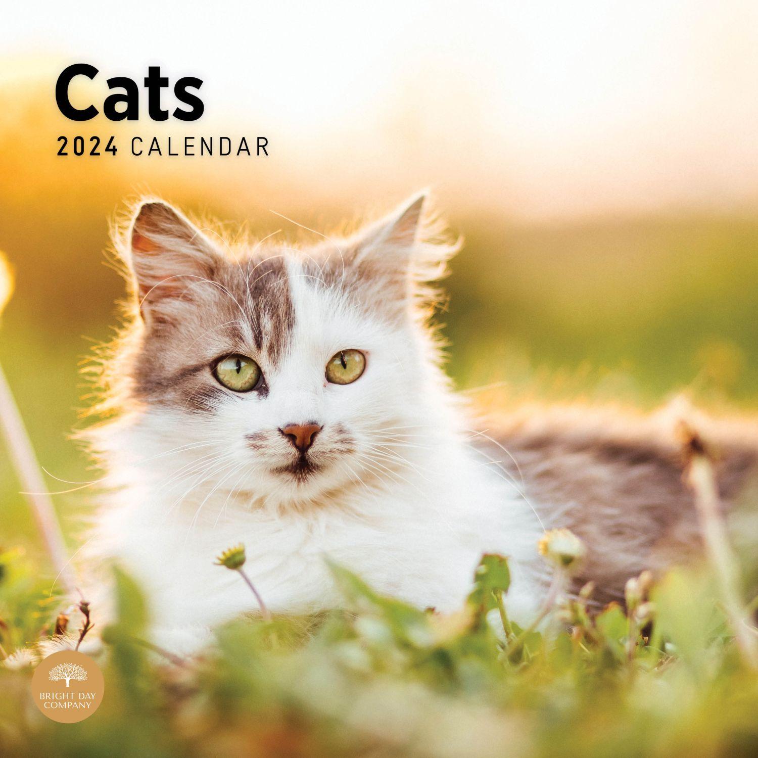 2024 Love of Cats - Calendar  Cat calendar, Americana art, Round art
