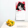 image Kittens I Love 2024 Wall Calendar Alternate Image 3