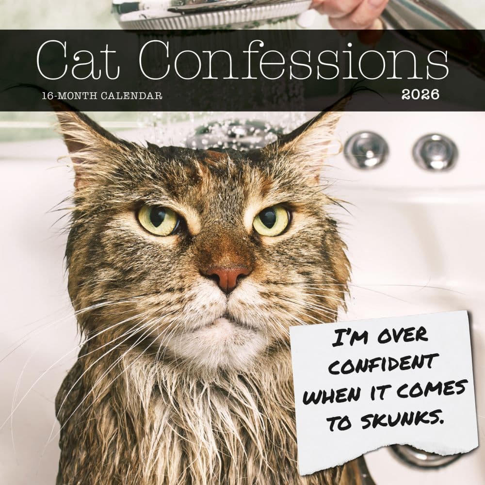 Cat Shaming 2026 Wall Calendar Main Image