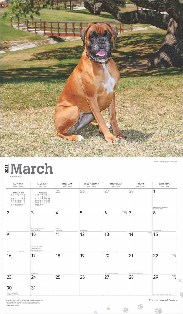 Boxers Deluxe 2025 Wall Calendar March