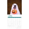 image Halloween All Year 2025 Wall Calendar Second Alternate Image width=&quot;1000&quot; height=&quot;1000&quot;