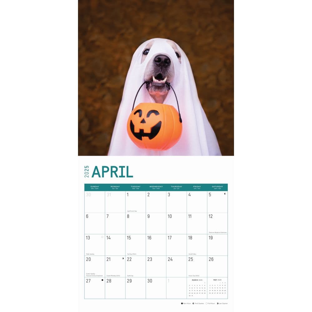 Halloween All Year 2025 Wall Calendar Second Alternate Image width=&quot;1000&quot; height=&quot;1000&quot;