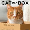 image Cat In A Box 2025 Wall Calendar Main Product Image width=&quot;1000&quot; height=&quot;1000&quot;