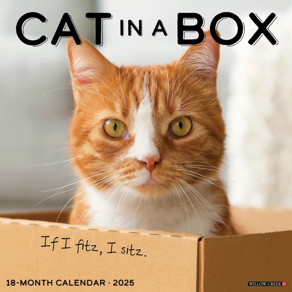 Cat In A Box 2025 Wall Calendar Main Product Image width=&quot;1000&quot; height=&quot;1000&quot;