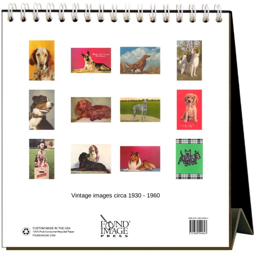 Dog Crazy 2025 Easel Desk Calendar First Alternate Image width="1000" height="1000"