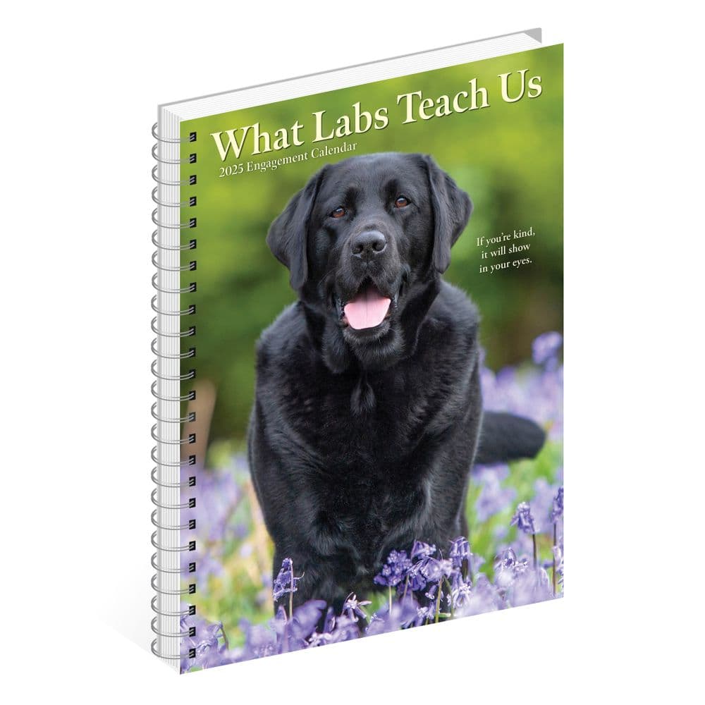 Labs What Labs Teach Us 2025 Engagement Planner Alt3