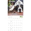 image Mutt Memes 2025 Wall Calendar Second  Alternate Image width=&quot;1000&quot; height=&quot;1000&quot;