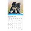 image Puppies For the Love 2024 Mini Wall Calendar Second Alternate Image width=&quot;1000&quot; height=&quot;1000&quot;