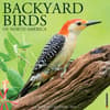 image Birds Backyard 2024 Wall Calendar Main Image