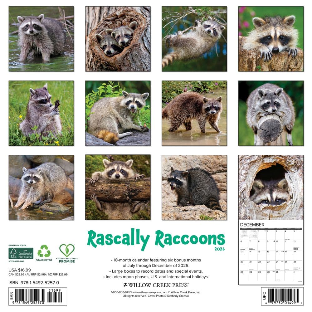 Rascally Raccoons 2026 Wall Calendar First Alternate Image