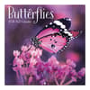 image Butterflies 2026 Mini Wall Calendar_Main Image