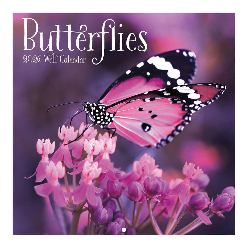 Butterflies 2026 Mini Wall Calendar_Main Image