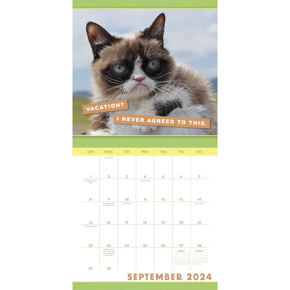Grumpy Cat 2024 Mini Wall Calendar