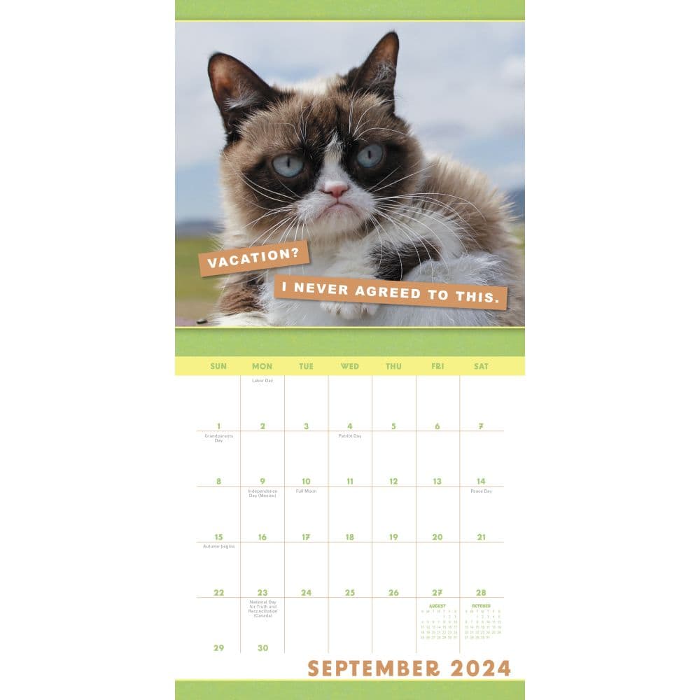 Grumpy Cat 2025 Mini Wall Calendar