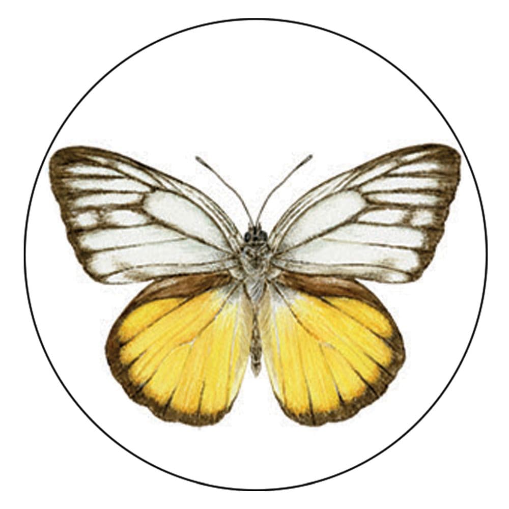 Butterfly Garden Coffee Mug Second Alternate Image