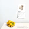image Golden Retriever Puppies 2024 Mini Wall Calendar Third Alternate Image width=&quot;1000&quot; height=&quot;1000&quot;