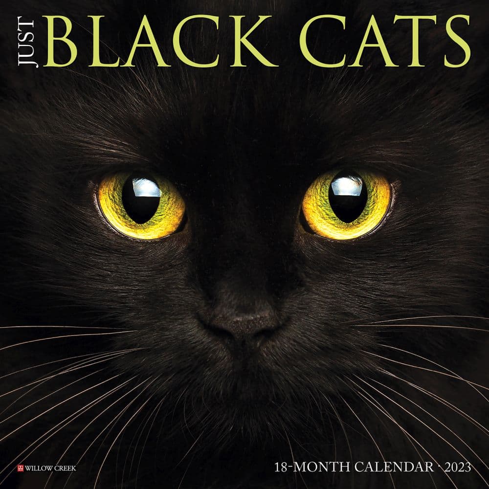 Willow Creek Press Black Cats 2023 Mini Wall Calendar