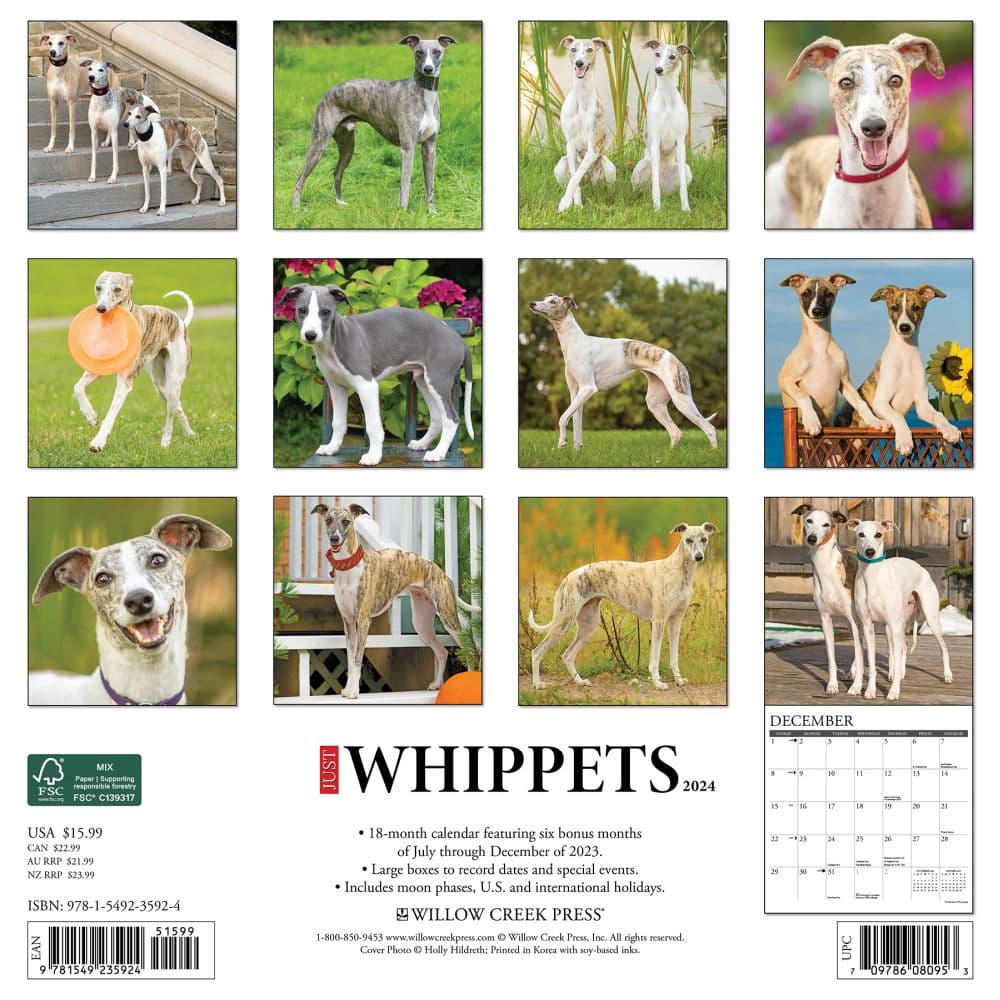 Whippets 2024 Wall Calendar