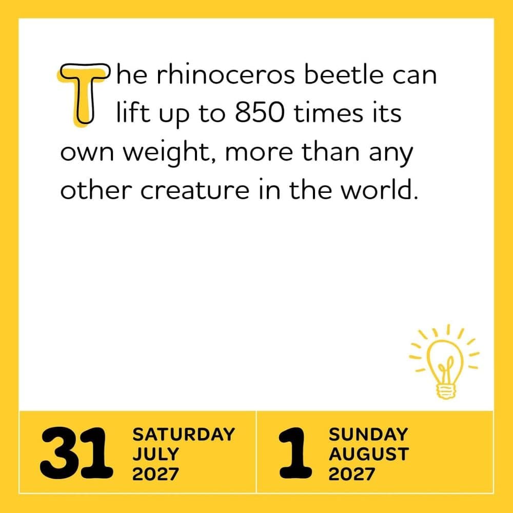 Interesting Facts for Curious Minds 2027 Desk Calendar Third Alternate Image
