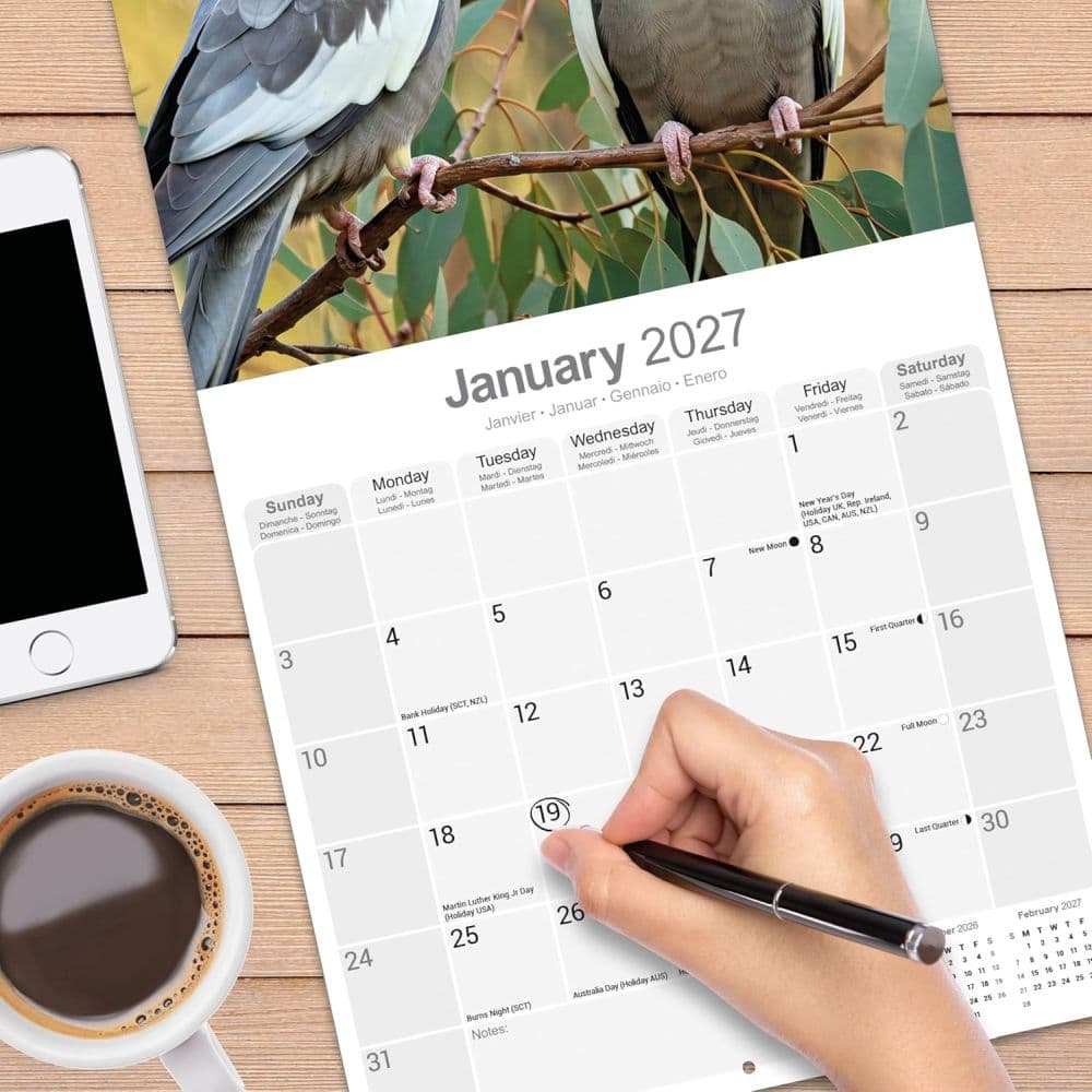 Cockatiels 2027 Wall Calendar Fourth Alternate Image