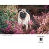 image Pugs 2026 Desk Calendar Second Alternate Image