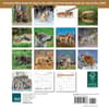 image Wolves 2026 Mini Wall Calendar First Alternate Image