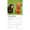 image Dachshunds 2027 Mini Wall Calendar Third Alternate Image