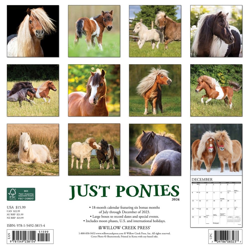 Ponies 2024 Wall Calendar