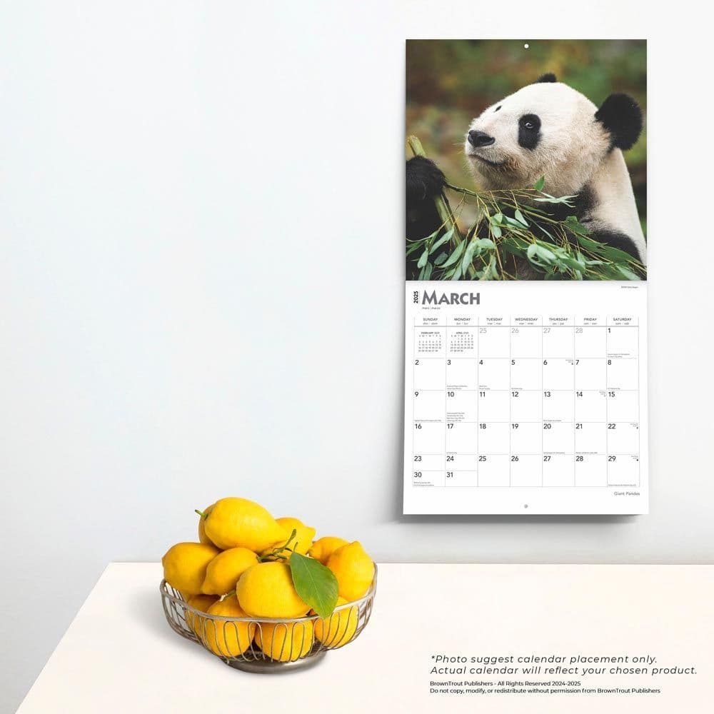 Pandas 2025 Wall Calendar Fourth Alternate Image