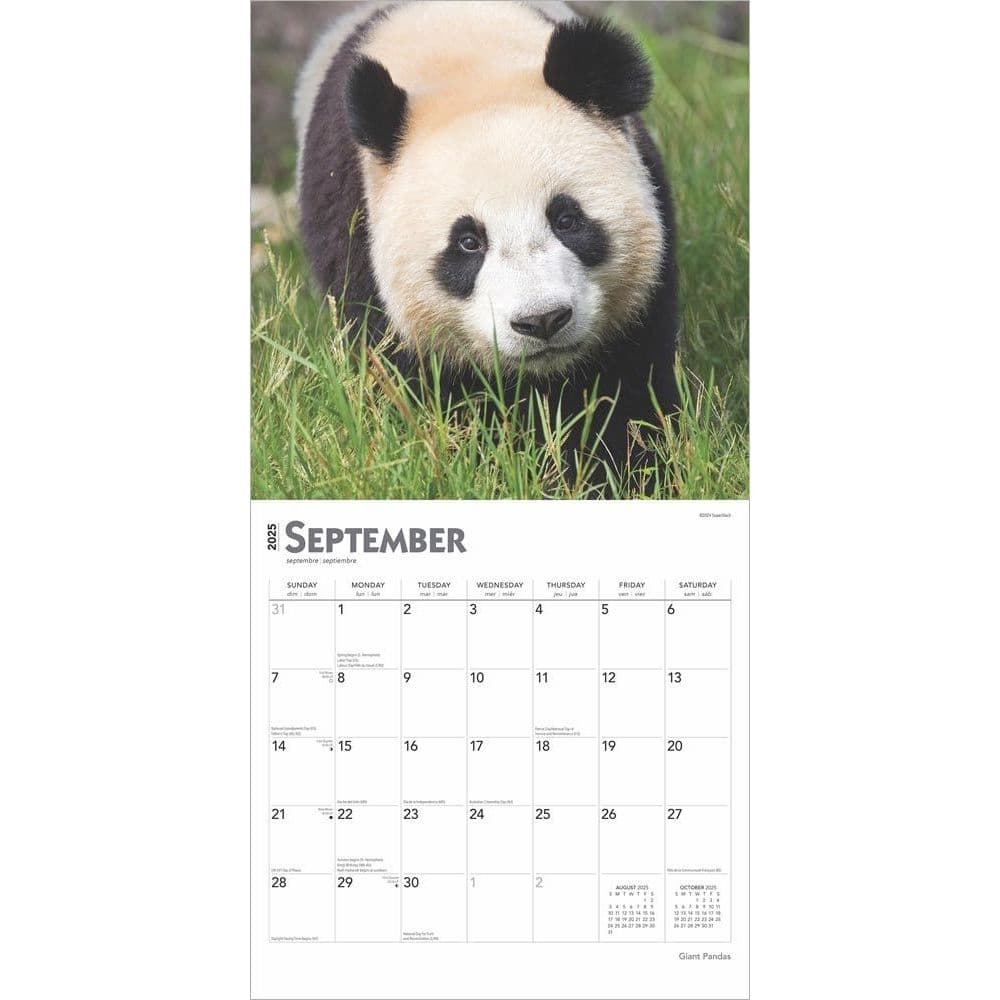 Pandas 2025 Wall Calendar Third Alternate Image