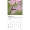 image Hummingbirds Plato 2025 Wall Calendar