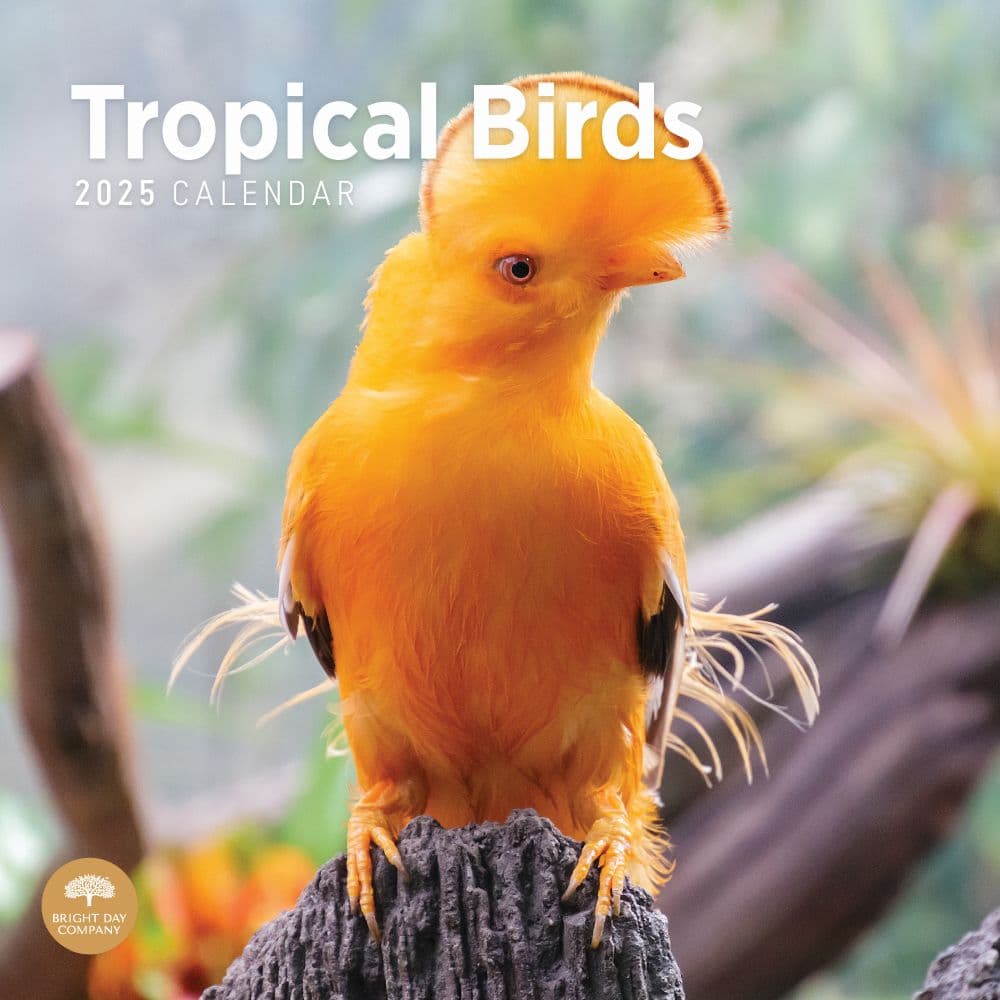 Tropical Birds 2025 Wall Calendar