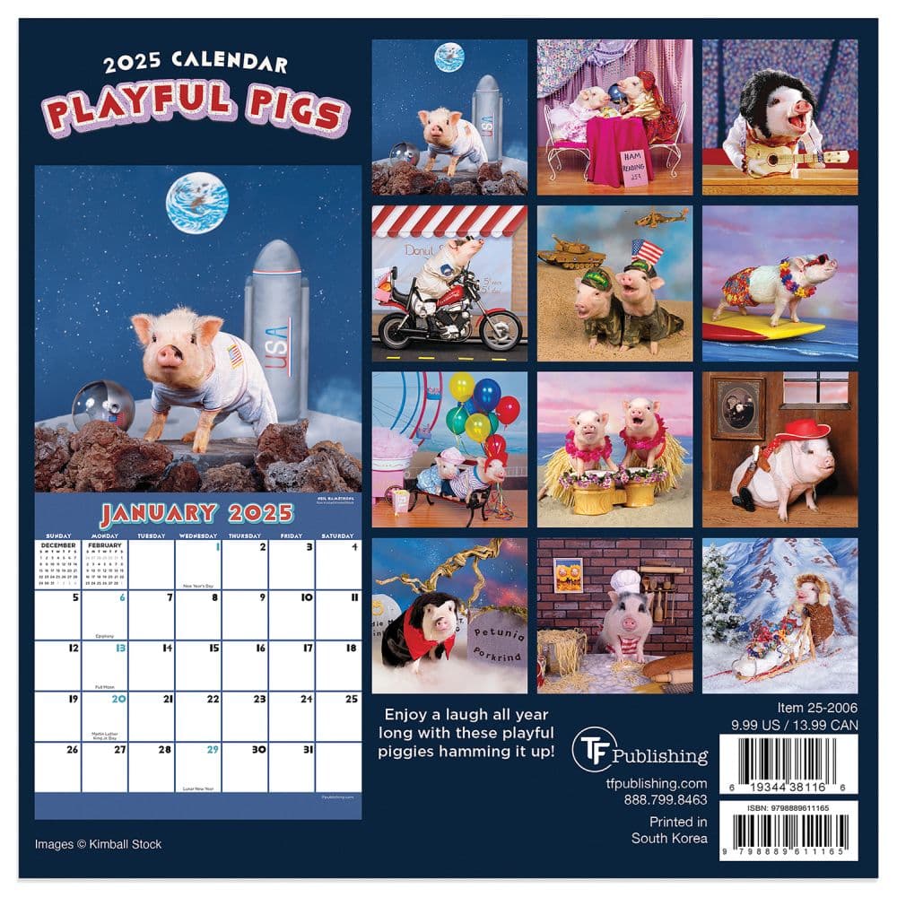 Playful Pigs 2025 Mini Wall Calendar