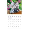 image Kittens 2026 Wall Calendar Third Alternate Image