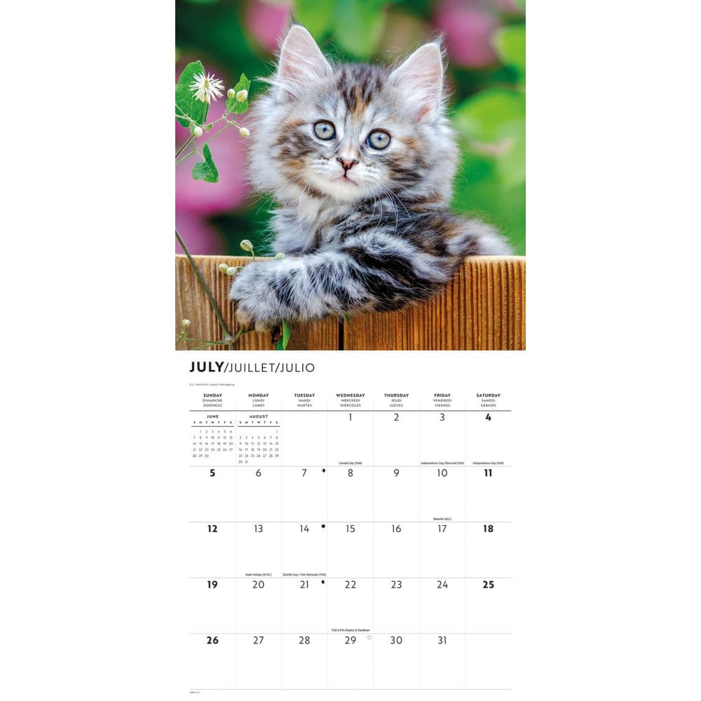 Kittens 2026 Wall Calendar Third Alternate Image