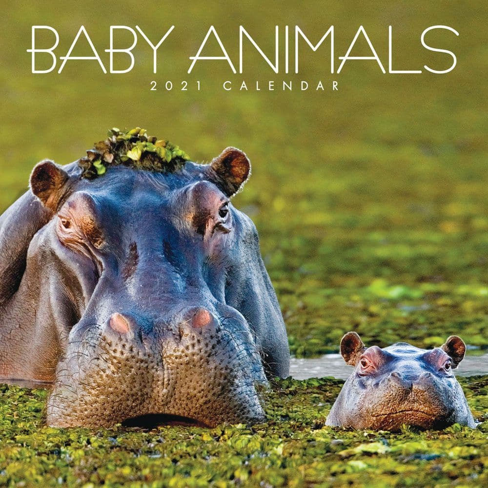 Baby Animals Mini Wall Calendar